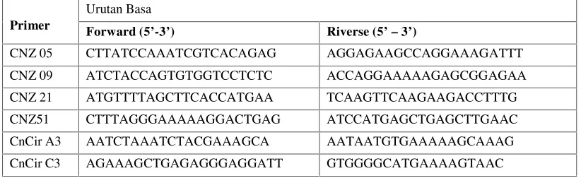 Figure 1. An example of allelic polymorphisme at microsatellite locus CNZ09 in 12 individuals coconut tall