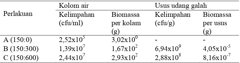 Tabel 5   Rata-rata kelimpahan dan biomassa bakteri heterotrof dari kolom air dan usus udang galah pada setiap perlakuan 