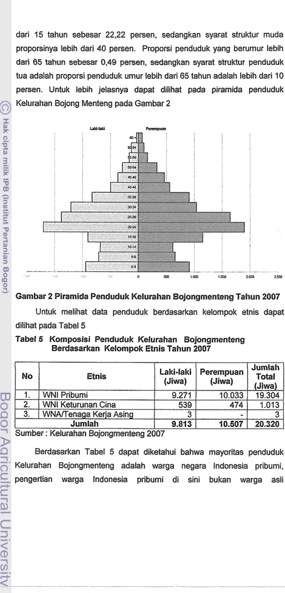 Gambar 2 Piramida Penduduk Kelurahan Bojongmenteng Tahun 2007  Untuk  rnelihat  data  penduduk  berdasarkan  kelornpok  etnis  dapat  dilihat pada Tabel 5 