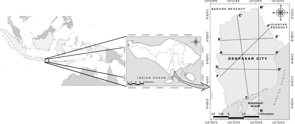 Fig. 1  Research Location. Lines indicating the transect cross section to examine LST intra-urban variation