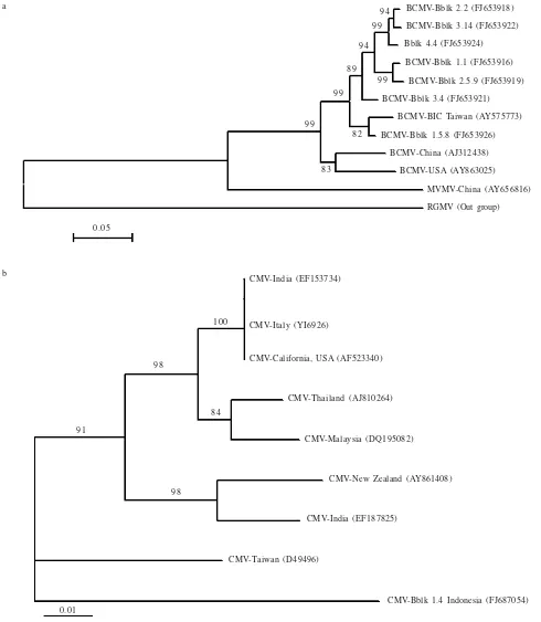 Figure 3. Phylogeny of the CI gene of BCMV (a) and the CP gene of CMV (b) isolates from yard long bean obtained from Bubulak (Bblk) Bogor,West Java