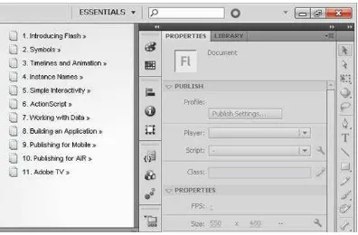 Gambar 3. Tampilan Profil Area Kerja Adobe Flash CS6 