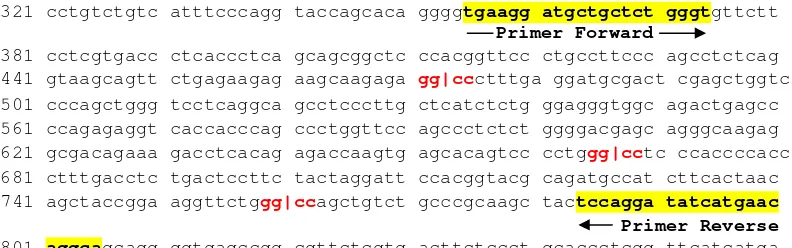 Gambar 2. Posisi penempelan primer dan situs pemotongan Enzim Restriksi HaeIII didasarkan pada sekuens gen GHRH pada sapi di GenBank (no akses GenBank AF242855) (Zhou et al., 2000)