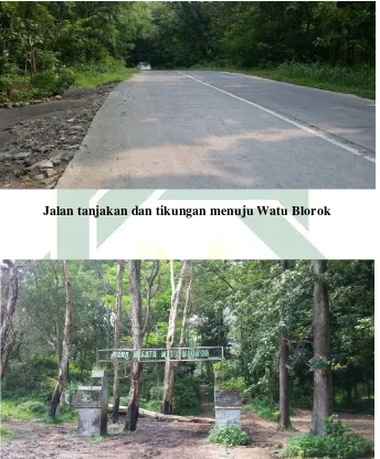 Gambar 8: Wana Wisata Watu Blorok (jalan tanjakan dan tikungan menuju Watu Blorok) 