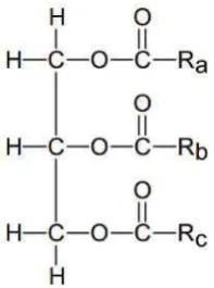 Gambar 2.1. Struktur kimia lemak dan minyak yang mengandung 3 gugus fungsi yakni ester pada tri-alkohol, gliserol sehingga disebut trigliserida  (Shakhashiri, 2008) 