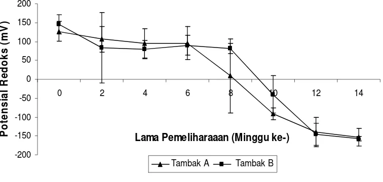 Gambar 5.  Perubahan potensial redoks sedimen tambak (mV) selama penelitian  