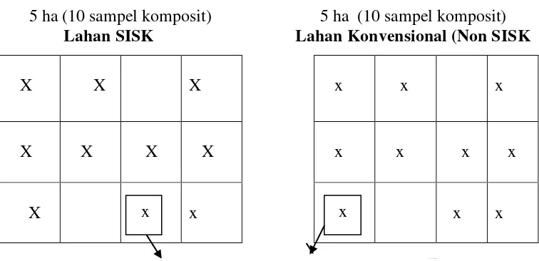 Gambar 5.  Deskripsi titik pengambilan sampel pada Lahan SISK maupun       Non SISK dengan metode Systematic sampling (Suganda et al., 2006) 