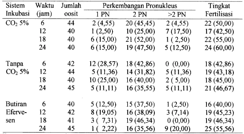 Tabel 4. Perkembangan pronukleus 1 PN, 2 PN dan >2 PN dan tingkat fertilisasi in vitro pada berbagai periode fertilisasi dan sistem inkubasi (%) 