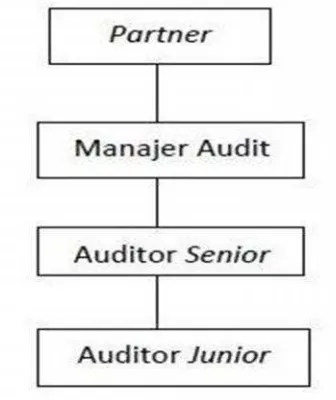 Gambar 2.1. Struktur Organisasi umum Kantor Akuntan Publik