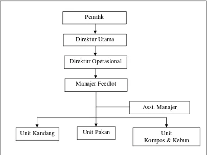 Gambar 3. Struktur Organisasi PT. Zagrotech Dafa Intenasional 