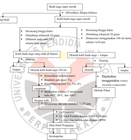 Gambar 3.1 Bagan Alir Proses Penelitian 