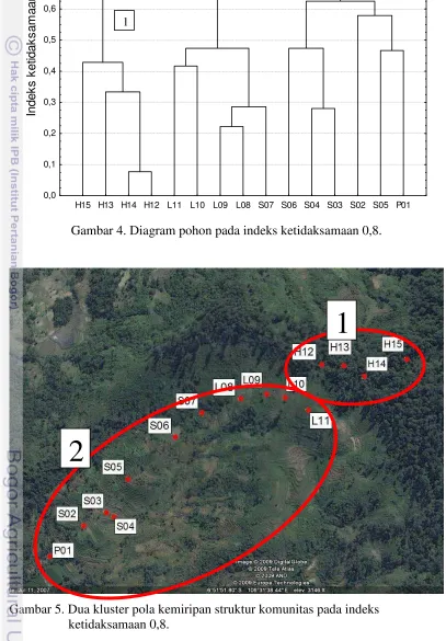 Gambar 4. Diagram pohon pada indeks ketidaksamaan 0,8. 