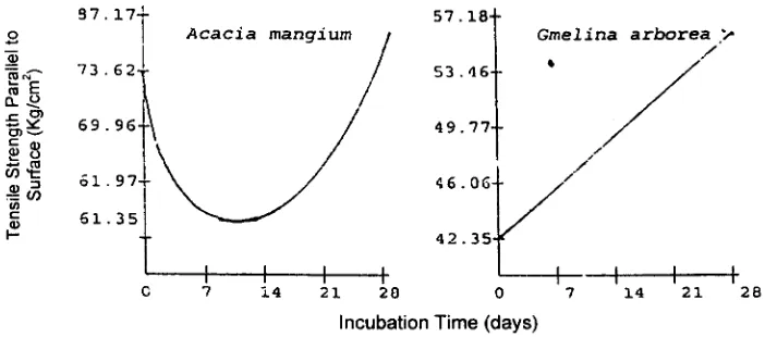 Figure 4. Relationship between tensile strength parallel to surface and incubation time of MDF from acacia and gmelina