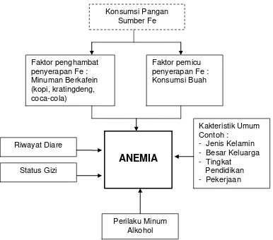 Gambar 1. Kerangka pemikiran faktor-faktor yang mempengaruhi kejadian anemia pada remaja dan dewasa di DKI Jakarta tahun 2007