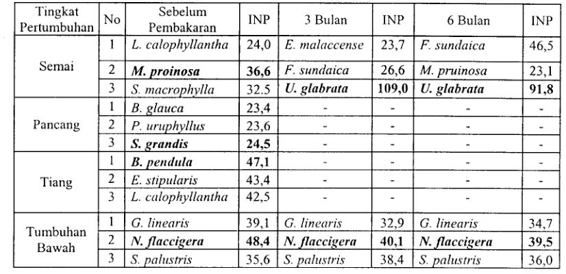 Tabel 11. Indeks Nilai Penting (INP) beberapa jenis tumbuhan dominan di gambut saprik plot 2 sebelum dan beberapa periode setelah pembakaran 