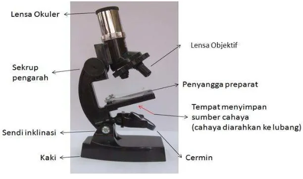 Gambar 2. mikroskop dan bagiannya 