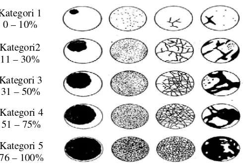 Gambar 4  Kategori dan persentase tutupan karang untuk menilai persentase karang hidup (English et al., 1997)