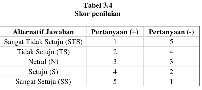 Tabel 3.4 Skor penilaian 