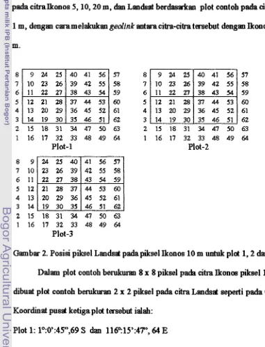 Gambar 2. Posisi piksel Landsi padaprksel Ikonos 10 m untuk plot 1,2 dan 3. 