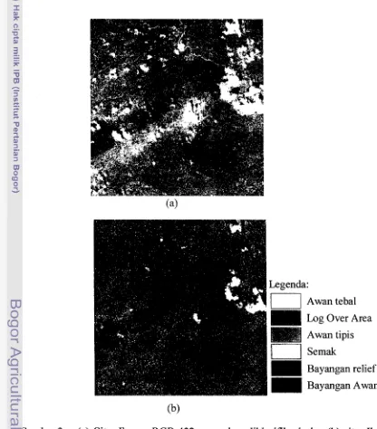 Gambar 3. (a) Citra Ikonos RGB 432 yang akan diklasifikasi; dan (b) citra Ikonos 