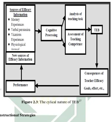 Figure 2.3: The cylical nature of TEB27 
