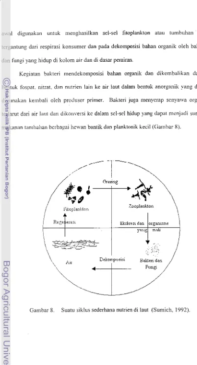 Gambar 8. Suatu siklus sederhana nutrien di laut (Sumich, 1992). 