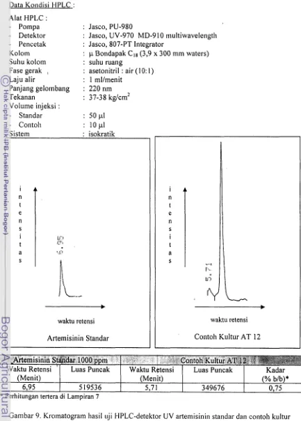 Gambar 9. Kromatogran~ hasil ilji tlPLC-detektor UV artemisinin standar dan contoh kultur 