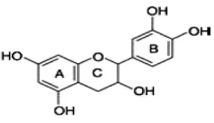 Gambar 1. Struktur flavonoid  