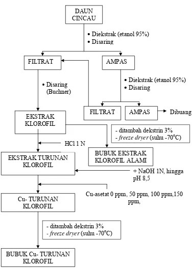 Gambar 9. Diagram alir prosedur pembentukan bubuk klorofil alami dan Cu-turunan klorofil  