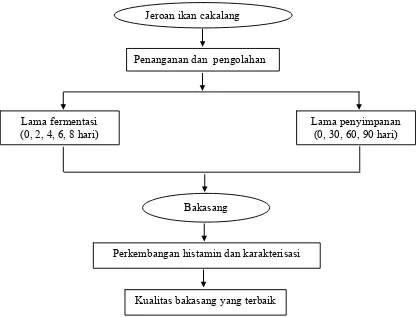 Gambar 1.   Kerangka pemikiran penelitian perkembangan histamin selama proses  fermentasi dan penyimpanan produk bakasang jeroan ikan cakalang (Katsuwonus pelamis, Lin) 