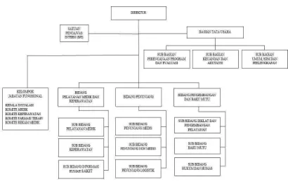 Gambar 4.1 Struktur Organisasi Rumah Sakit Umum Daerah Kudungga 