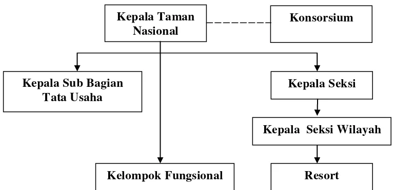 Gambar 5. Struktur organisai balai Taman Nasional Gunung Gede Pangrango (TNGP) 