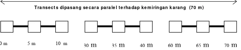 Gambar. 8 Pengamatan dengan metode transek garis (LIT)  