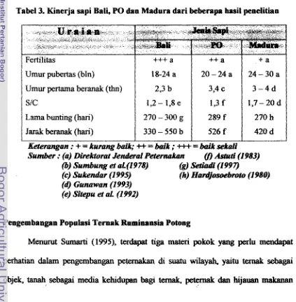 Tabel 3, Kinerja =pi Brrti, PO drtn Madura, dari hkraprr trasii penelithu 