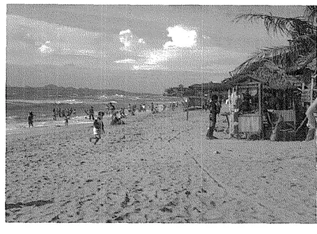 Gambar 4.  Keadaan Lokasi Objek Wisata Pantai Bandulu  5.2.  Pengelolaan 