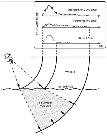 Gambar 6 Pemisahan dua proses yang memberikan nilai intensitas backscattering yaitu kekasaran permukaan dan keragaman volume sedimen 