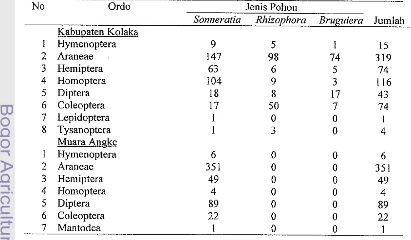 Tabel 11 Arthropoda dan serangga lain yang dikoleksi pada lokasi Kabuptaen Kolaka dan Muara Angke