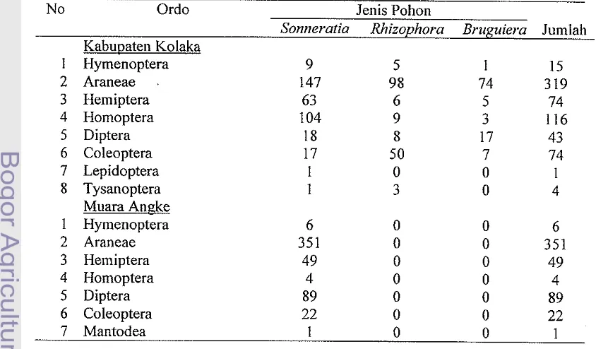 Keanekaragaman Dan Komposisi Species Semut (Hymenoptera: Formicidae ...