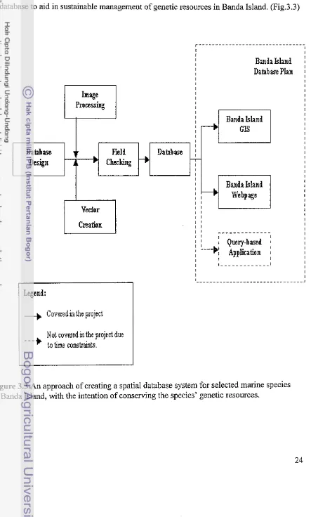 Figure 3.3 An approach of creating a spatial database system for selected marine species 