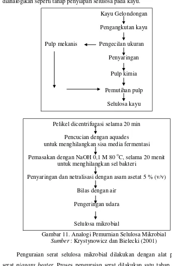 Gambar 11. Analogi Pemurnian Selulosa Mikrobial 