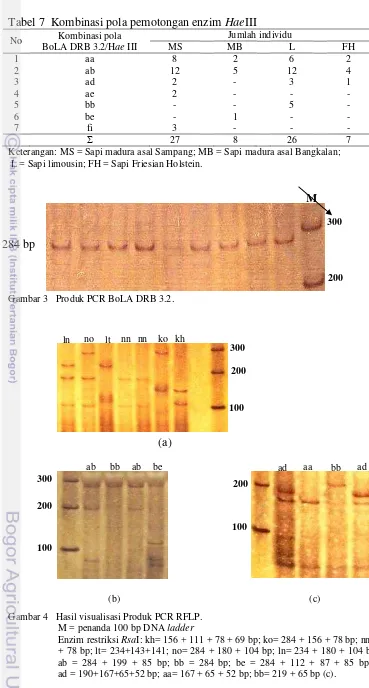 Tabel 7  Kombinasi pola pemotongan enzim HaeIII 