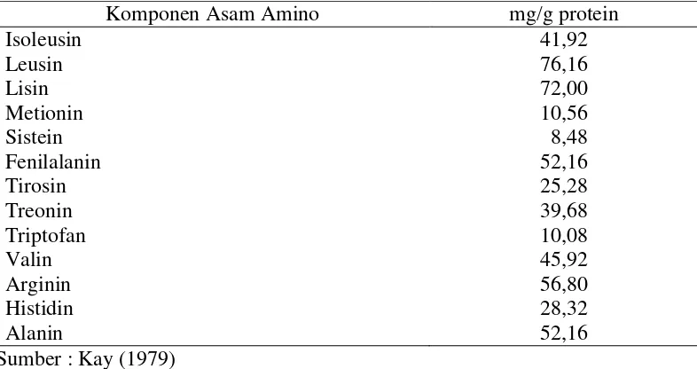 Tabel 4. Komposisi kimia kacang merah per  100 g bahan 