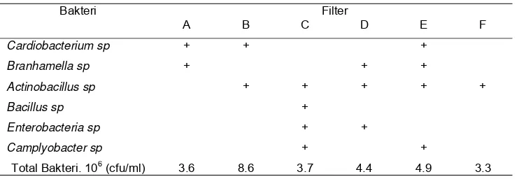 Tabel 11.  Jenis dan jumlah bakteri setiap filter selama percobaan 