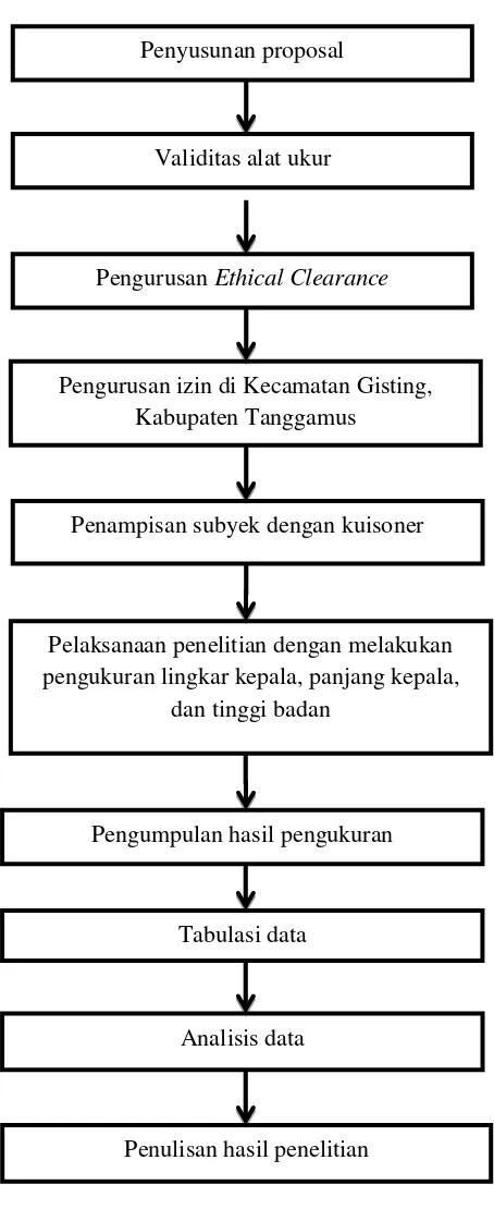 Gambar 9 . Diagram  alur penelitian. 