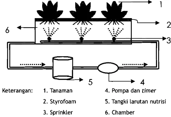 Gambar 4. Skerna sistem aeroponik 