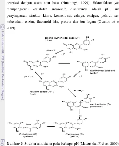 Gambar 3. Struktur antosianin pada berbagai pH (Mateus dan Freitas, 2009) 