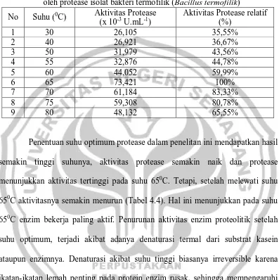 Tabel 4.4. Pengaruh suhu inkubasi pada laju reaksi hidrolisis enzimatis kasein oleh protease isolat bakteri termofilik (Bacillus termofilik) 