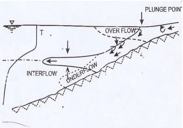 Gambar 4.  Inflow densitas ke waduk (Ford and Johnson dalam Thornton et al.,1990). 