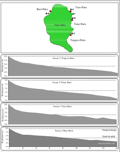 Gambar 8.  Perbandingan topografi dasar perairan di Pulau Hatta 