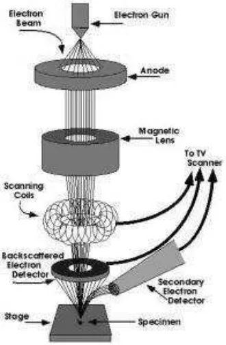 Gambar 7. Skema Mikroskop Elektron 